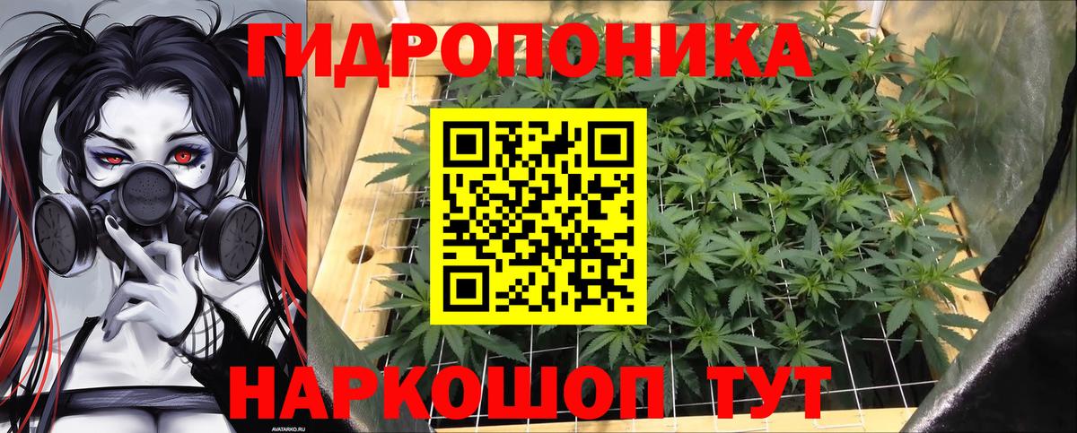 Каннабис план  Марихуана MAZAR  Орёл  Вход с VPN  Шишки марихуана THC 21%  Каннабис Bruce Banner 